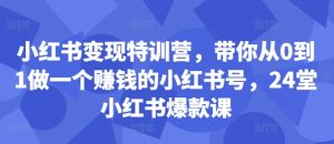 小红书变现特训营,带你从0到1做一个赚钱的小红书号,24堂小红书爆款课-网赚资源网