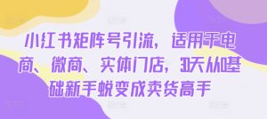 小红书矩阵号引流,适用于电商、微商、实体门店,30天从0基础新手蜕变成卖货高手-网赚资源网