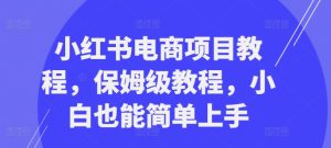 小红书电商项目教程,保姆级教程,小白也能简单上手-网赚资源网