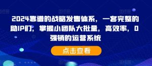 2024靠谱的战略发售体系，一套完整的助IP们，掌握小团队大批量，高效率，0 强销的运营系统-网赚资源网