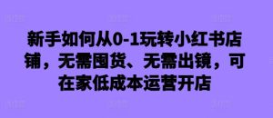 新手如何从0-1玩转小红书店铺,无需囤货、无需出镜,可在家低成本运营开店-网赚资源网
