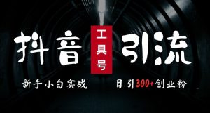 2024最新抖音工具号引流玩法,高效日引300+创业粉,当天变现5k,小白也可成为实战高手-网赚资源网