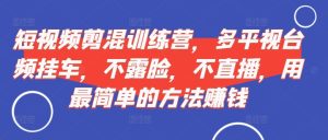 短视频剪混训练营,多平视台频挂车,不露脸,不直播,用最简单的方法赚钱-网赚资源网