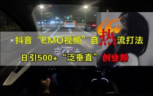抖音EMO视频自热打法,日引500+“泛垂直”创业粉-网赚资源网
