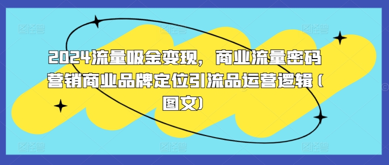 2024流量吸金变现，商业流量密码营销商业品牌定位引流品运营逻辑(图文) - 网赚资源网-网赚资源网