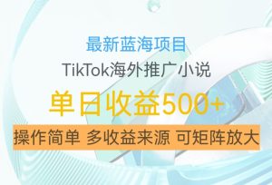 最新蓝海项目,利用tiktok海外推广小说赚钱佣金,简单易学,日入500+,可矩阵放大【揭秘】-网赚资源网