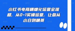 小红书电商精细化运营全流程,从0-1实操运营,让你从小白到精英-网赚资源网