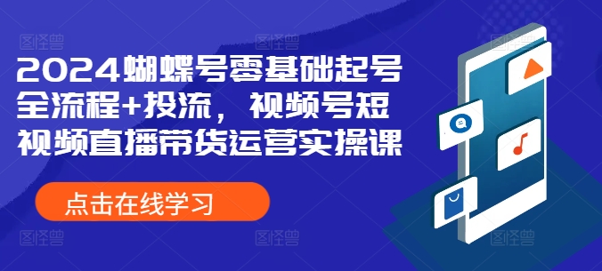 2024蝴蝶号零基础起号全流程+投流，视频号短视频直播带货运营实操课 - 网赚资源网-网赚资源网