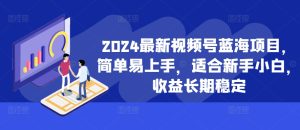 2024最新视频号蓝海项目,简单易上手,适合新手小白,收益长期稳定-网赚资源网