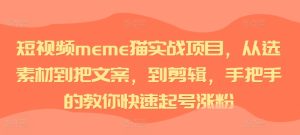 短视频meme猫实战项目,从选素材到把文案,到剪辑,手把手的教你快速起号涨粉-网赚资源网