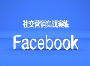 Facebook社交营销实战演练,外贸人绝对不能错过的营销推广平台-网赚资源网