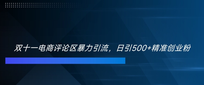 双十一电商评论区暴力引流，日引500+精准创业粉【揭秘】 - 网赚资源网-网赚资源网