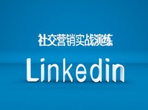 社交营销实战演练之Linkedin营销课程,B2B跨境外贸的新出路-网赚资源网