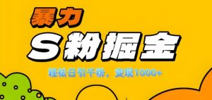 单人单机日引千粉,变现1k+,S粉流量掘金计划攻略【揭秘】-网赚资源网