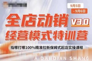 全店动销经营模式特训营,指哪打哪100%精准拉新保姆式起店实操课程-网赚资源网