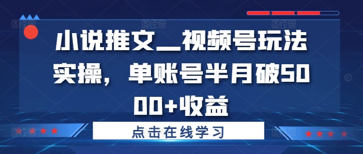 小说推文—视频号玩法实操，单账号半月破5000+收益 - 网赚资源网-网赚资源网