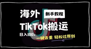 2024最新海外TikTok搬运玩法，一键去重轻松过原创，新手无经验也能日入1k【揭秘】-网赚资源网