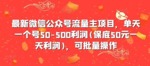 最新微信公众号流量主项目,单天一个号50-500利润(保底50元一天利润),可批量操作-网赚资源网