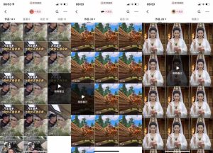 狗熊岭快手连怼技术，好物，涨粉都可以连怼-网赚资源网