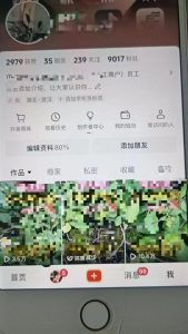 最新抖音暴力起万粉技术,一天涨万粉,发三四个作品涨近万粉-网赚资源网