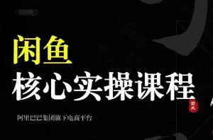 2024闲鱼核心实操课程，从养号、选品、发布、销售，教你做一个出单的闲鱼号-网赚资源网