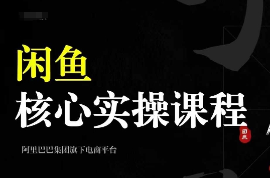 2024闲鱼核心实操课程，从养号、选品、发布、销售，教你做一个出单的闲鱼号 - 网赚资源网-网赚资源网