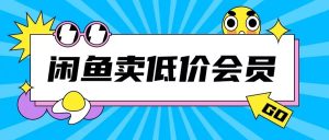 外面收费998的闲鱼低价充值会员搬砖玩法号称日入200+-网赚资源网