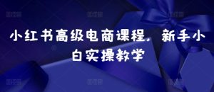 小红书高级电商课程,新手小白实操教学-网赚资源网