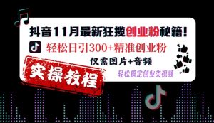 抖音11月最新狂揽创业粉秘籍，轻松日引300+精准创业粉，仅需图片+音频，轻松搞定创业类视频-网赚资源网