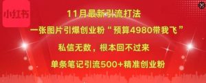 小红书11月最新图片打粉,一张图片引爆创业粉,“预算4980带我飞”,单条引流500+精准创业粉-网赚资源网