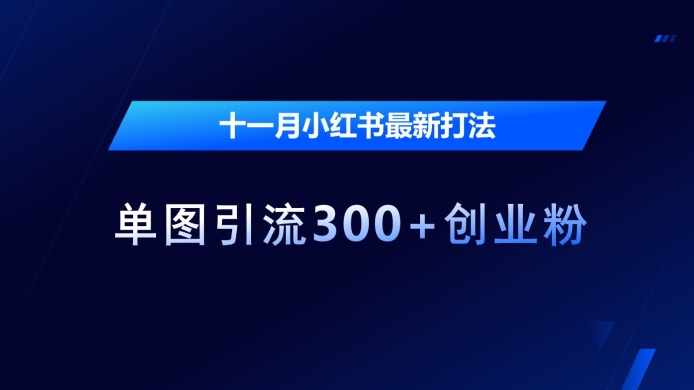 十一月小红书最新打法，单图引流300+创业粉【揭秘】 - 网赚资源网-网赚资源网