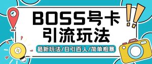 Boss直聘流量卡引流变现玩法,日引200+创业粉【揭秘】-网赚资源网