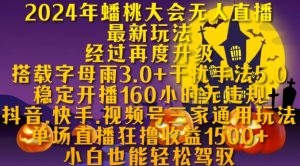2024年蟠桃大会无人直播最新玩法,稳定开播160小时无违规,抖音、快手、视频号三家通用玩法【揭秘】-网赚资源网