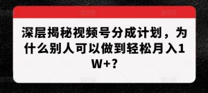 深层揭秘视频号分成计划,为什么别人可以做到轻松月入1W+?-网赚资源网