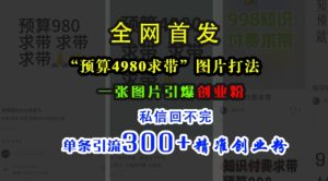 小红书“预算4980带我飞”图片打法，一张图片引爆创业粉，私信回不完，单条引流300+精准创业粉-网赚资源网