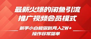 闲鱼引流推广影视会员，0成本就可以操作，新手小白月入过W+【揭秘】-网赚资源网