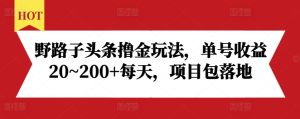 野路子头条撸金玩法,单号收益20~200+每天,项目包落地-网赚资源网
