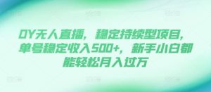 DY无人直播,稳定持续型项目,单号稳定收入500+,新手小白都能轻松月入过万【揭秘】-网赚资源网