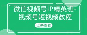 微信视频号IP精英班-视频号短视频教程-网赚资源网