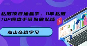 私域项目操盘手，11年私域TOP操盘手带你做私域-网赚资源网