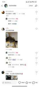 小红书私人定制图项目，附赠一单4W渠道【揭秘】-网赚资源网