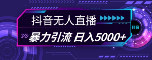 抖音快手视频号全平台通用无人直播引流法，利用图片模板和语音话术，暴力日引流100+创业粉【揭秘】-网赚资源网