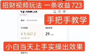 招财视频玩法，一条视频收益723，手把手教学，小白当天可上手-网赚资源网
