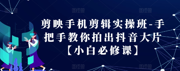 剪映手机剪辑实操班-手把手教你拍出抖音大片【小白必修课】 - 网赚资源网-网赚资源网