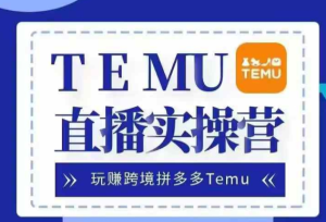 Temu直播实战营,玩赚跨境拼多多Temu,国内电商卷就出海赚美金-网赚资源网