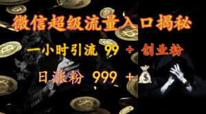 微信超级流量入口揭秘：一小时引流 99 + 创业粉，日涨粉 999 +-网赚资源网