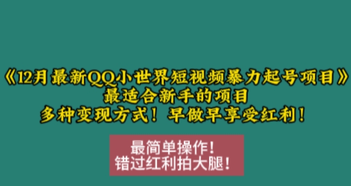 12月最新QQ小世界短视频暴力起号项目，最适合新手的项目，多种变现方式 - 网赚资源网-网赚资源网