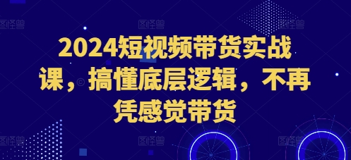 2024短视频带货实战课，搞懂底层逻辑，不再凭感觉带货-网赚资源网