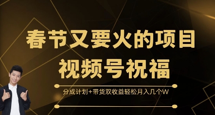 春节又要火的项目视频号祝福，分成计划+带货双收益，轻松月入几个W【揭秘】 - 网赚资源网-网赚资源网