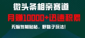 微头条相亲赛道,迅速积累,无脑复制粘贴,野路子玩法,月入1w-网赚资源网